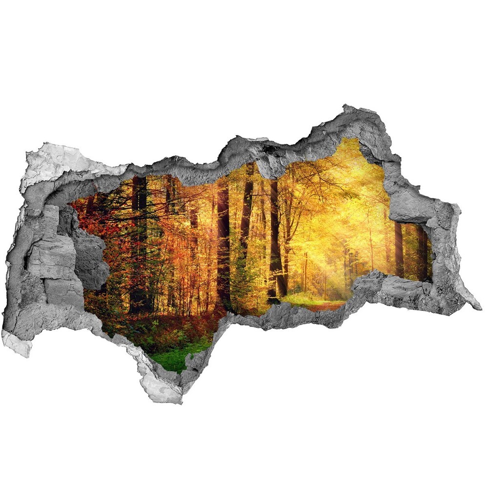 Nálepka fototapeta 3D výhled Podzim les