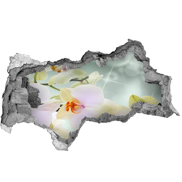 Samolepící díra nálepka Květiny v betonu