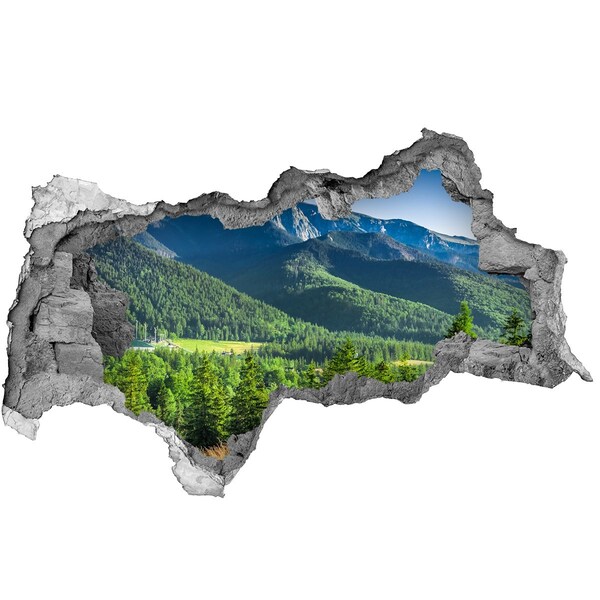 Nálepka fototapeta 3D Horská krajina skrz díru ve zdi
