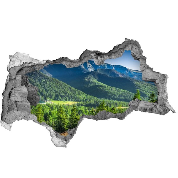 Nálepka fototapeta 3D Skokanský můstek Tatry