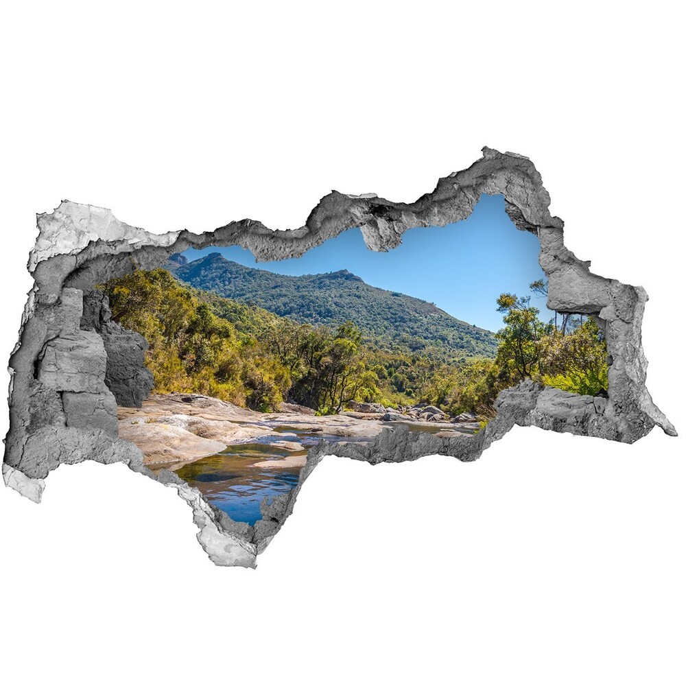 Nálepka fototapeta 3D na zeď Řeka v lese