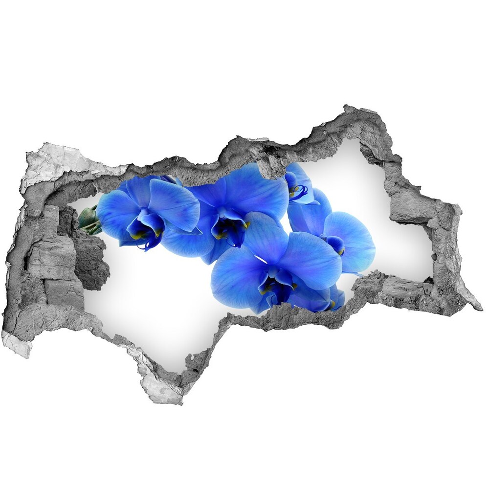 Samolepící díra nálepka Modrá orchidej