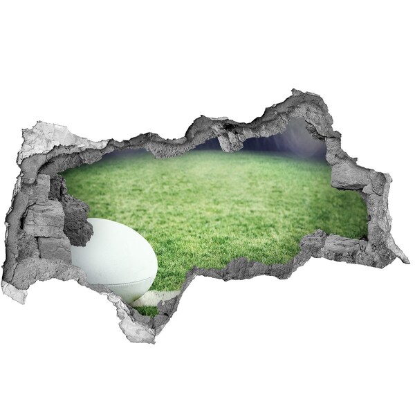 Foto fotografie díra na zeď Ragby na hřišti