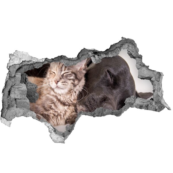 Díra 3D foto tapeta nálepka Sladký okamžik přátelství