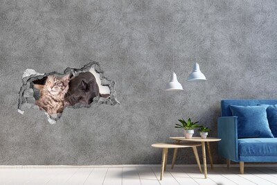 Díra 3D foto tapeta nálepka Sladký okamžik přátelství