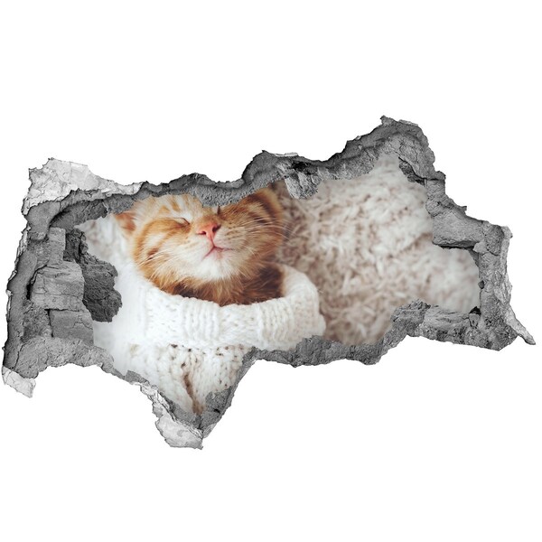 Samolepící nálepka beton Roztomilá kočka ve svetru