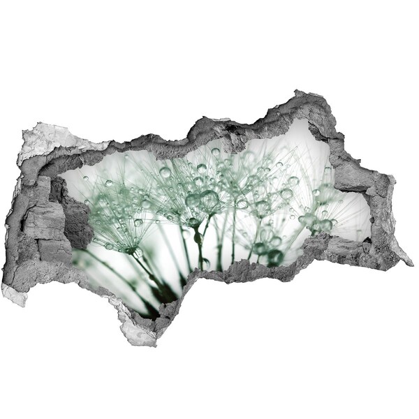 Fotoobraz díra na stěnu Květinový sen za zdí