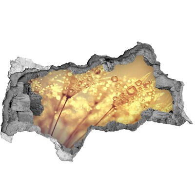 Nálepka 3D díra na zeď Zlaté louky ve slunečním světle