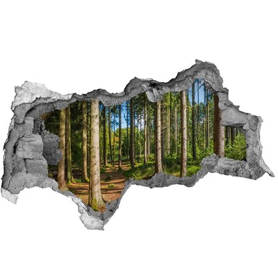 Fotoobraz díra na stěnu Panorama les