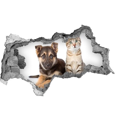 Fototapeta díra na zeď 3D Pes a kočka