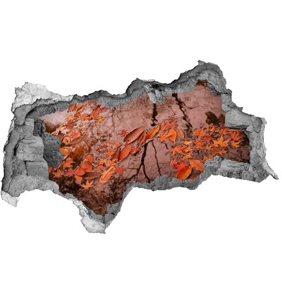 Fototapeta díra na zeď 3D Podzimní vodní hladina