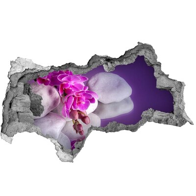 Fotoobraz díra na stěnu Orchideje na pozadí kamenů
