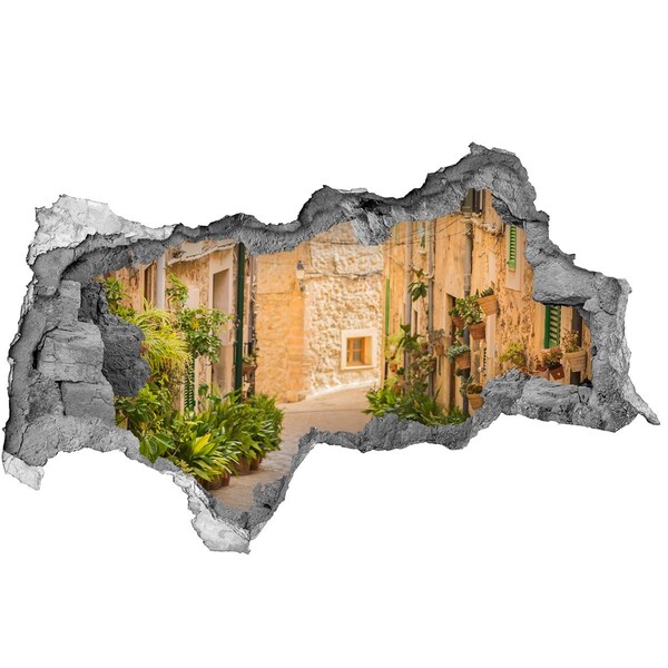 Fototapeta díra na zeď Okouzlující ulice ve městě