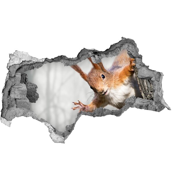 Nálepka fototapeta 3D na zeď Veverka v akci