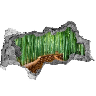 Díra 3D fototapeta na stěnu nálepka Bambusový les