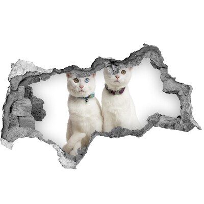 Nálepka fototapeta 3D na zeď Bílé kočky