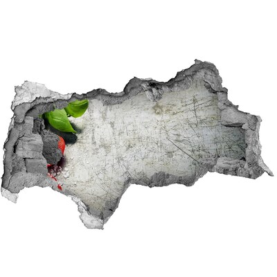 Fotoobraz díra na stěnu Zničená zeď s výhledem na oblohu