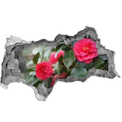 Samolepící díra na stěnu Květinová zahrada z betonu