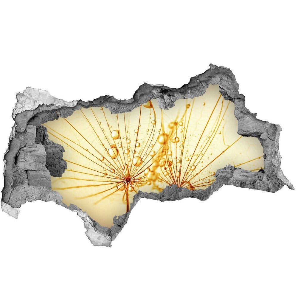 Díra 3D fototapeta nálepka Semena pampelišky
