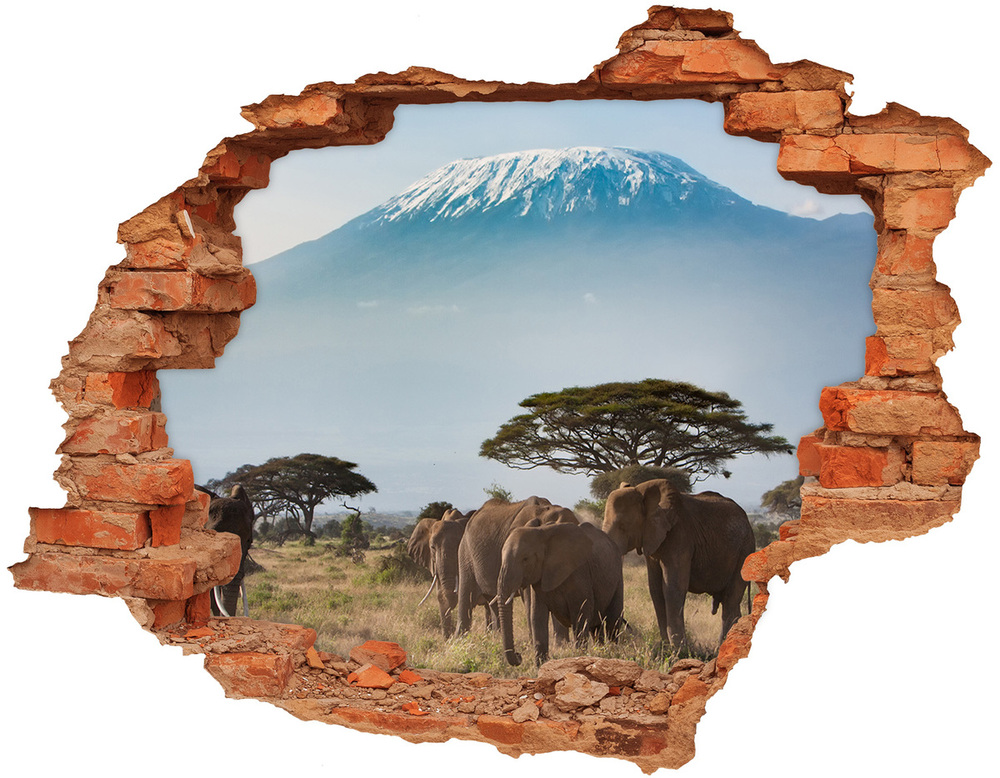 Díra 3D fototapeta Sloni Kilimandžáro