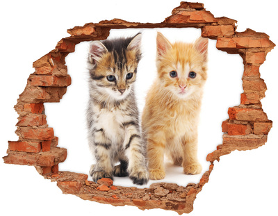 Díra 3D fototapeta na stěnu Hnědá a červená kočka