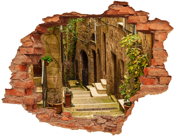 Fototapeta díra na zeď Okouzlující ulice ve městě