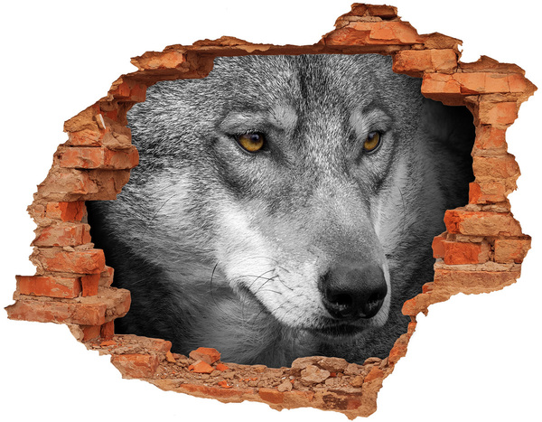 Díra 3D fototapeta na stěnu nálepka Vlk