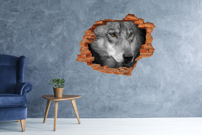 Díra 3D fototapeta na stěnu nálepka Vlk