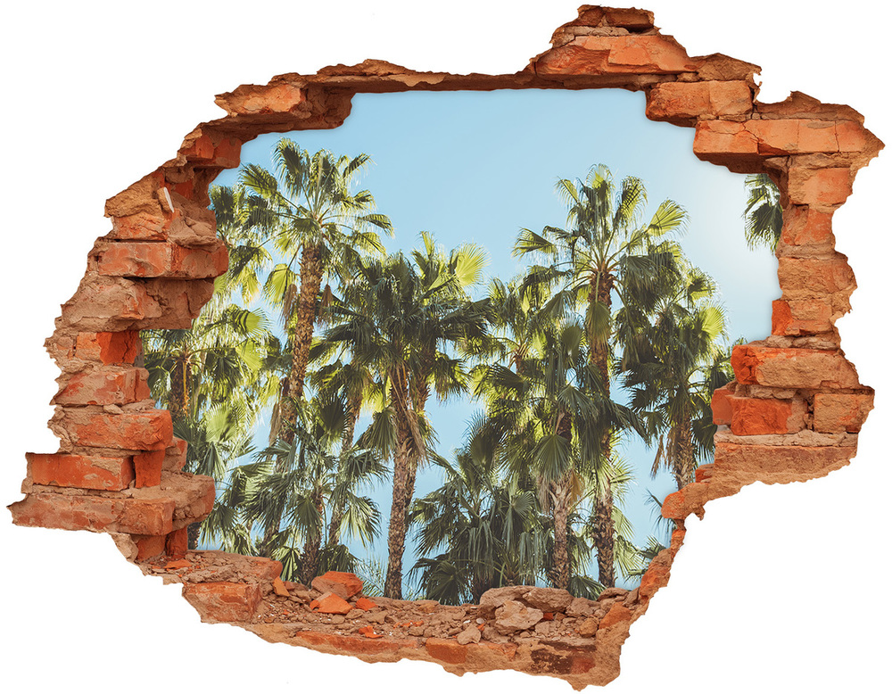 Samolepící nálepka beton Vysoké palmy