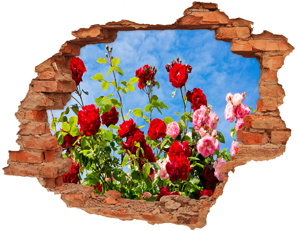 Samolepící nálepka na zeď Divoké růže