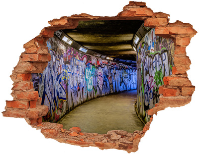 Fototapeta díra na zeď Graffiti v městském tunelu