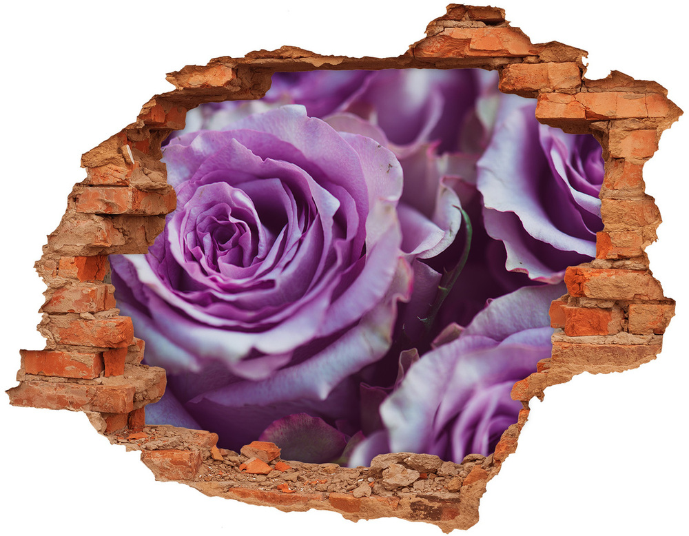Fototapeta nálepka na zeď Fialové růže