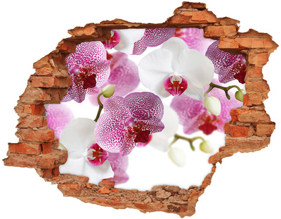 Fototapeta nálepka na zeď Fototapeta orchidej