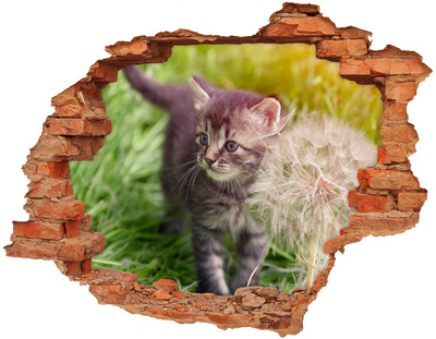 Díra 3D fototapeta nálepka Kočka s pampeliškou