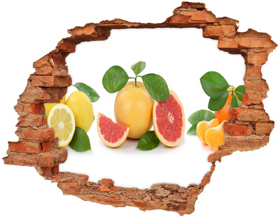 Nálepka 3D díra na zeď Citrusové ovoce