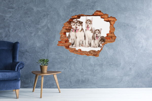 Díra 3D fototapeta nálepka Štěně Husky