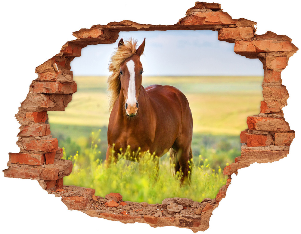 Díra 3D fototapeta nálepka Hnědý kůň