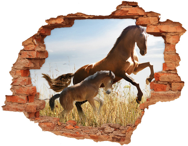 Díra 3D fototapeta Kobyla s hříbětem