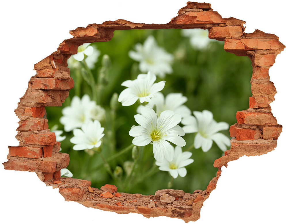 Samolepící nálepka na zeď Jarní květiny