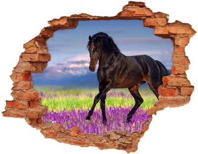 Fototapeta díra na zeď Kůň na poli levandule