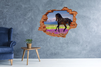 Fototapeta díra na zeď Kůň na poli levandule
