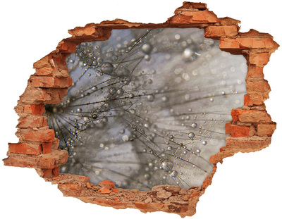 Samolepící nálepka na zeď Kapky vody na skle