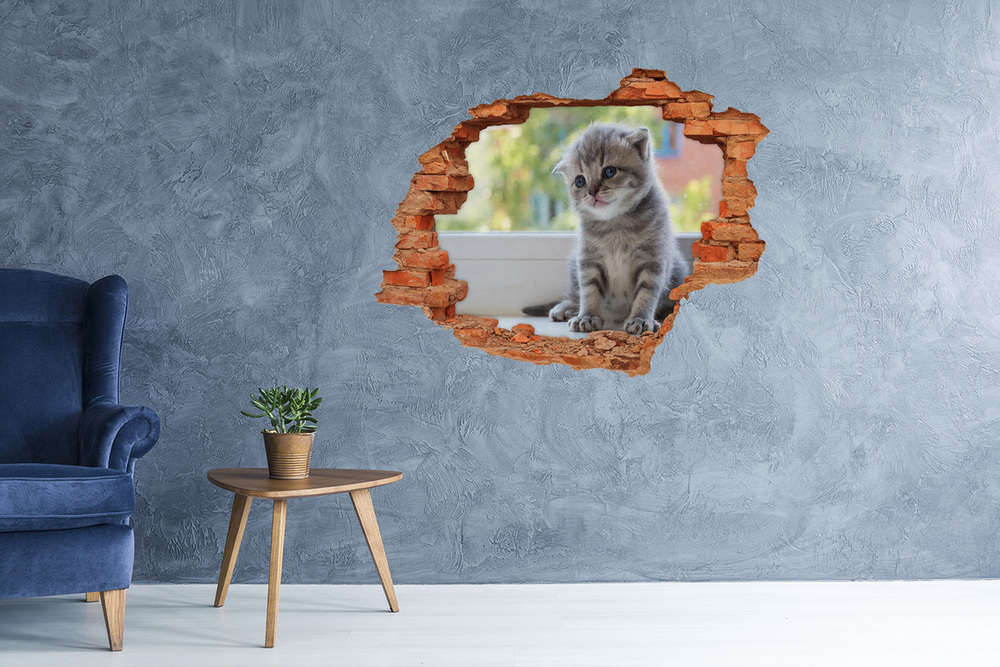 Díra 3D fototapeta na stěnu Malá kočka u okna