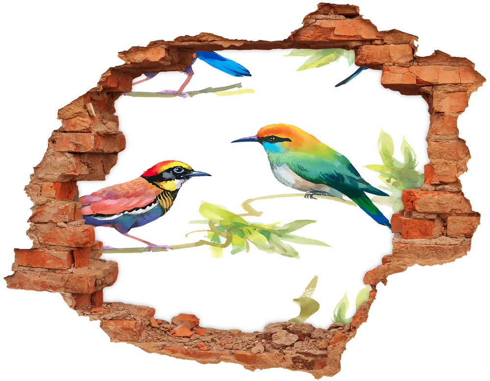 Díra 3D fototapeta na stěnu Egzotičtí ptáci