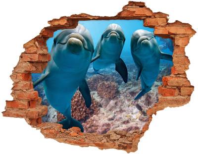 Fototapeta díra na zeď Delfíni