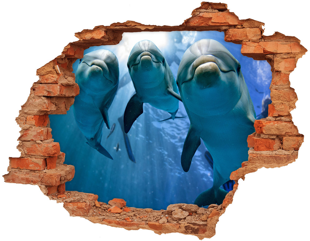 Díra 3D fototapeta na stěnu Tři delfíni