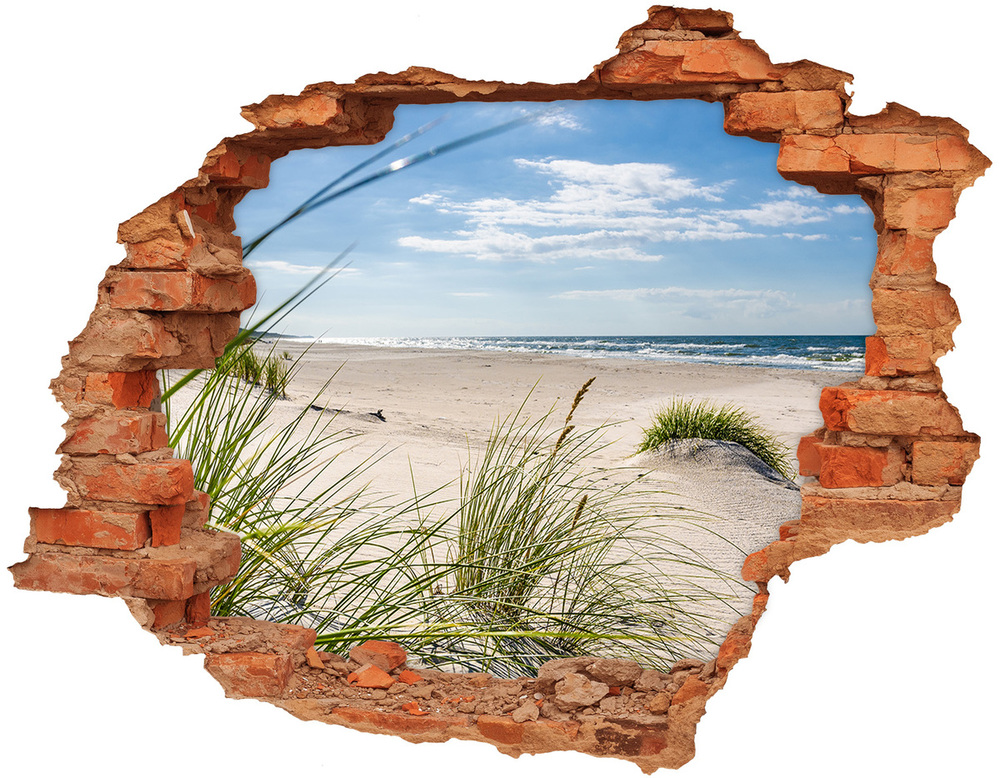 Díra 3D ve zdi nálepka Mřežino pláž