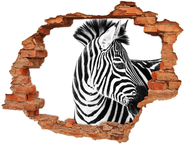 Díra 3D fototapeta nálepka Zebra v díře ve zdi