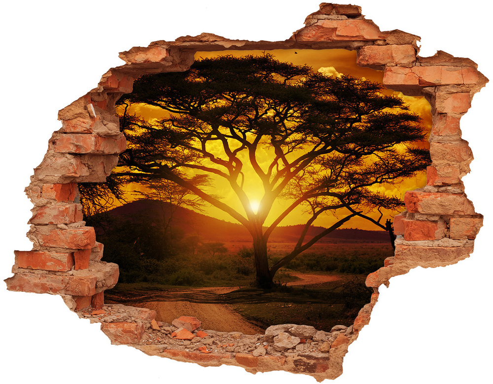 Díra 3D ve zdi nálepka Západ slunce Afrika