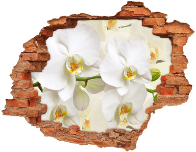 Samolepící nálepka fototapeta Orchideje v betonu